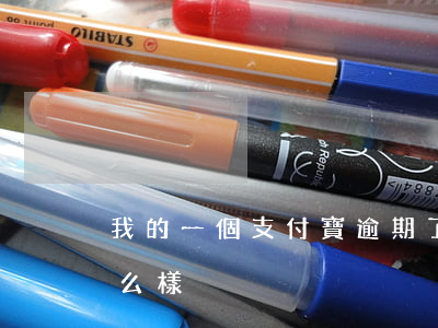 我的一個支付寶逾期了(支付寶逾期的話會怎么樣)