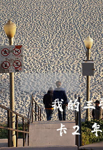 我的三张信用卡2年逾期7次(我的三张信用卡2年逾期7次数有多少)