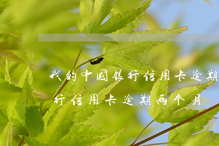 我的中国银行信用卡逾期两个月（我的中国银行信用卡逾期两个月）