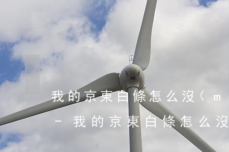 我的京東白條怎么沒(méi)有最低還款-我的京東白條怎么沒(méi)有最低還款了