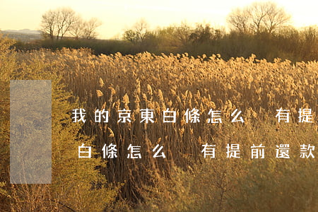 我的京東白條怎么沒有提前還款-我的京東白條怎么沒有提前還款功能