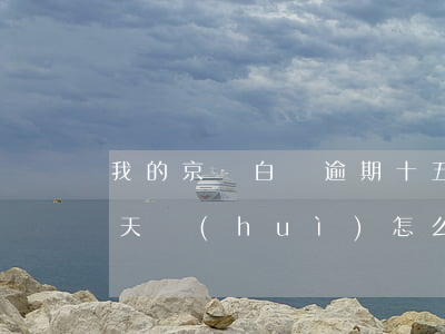 我的京東白條逾期十五天(京東白條逾期十五天會(huì)怎么樣)