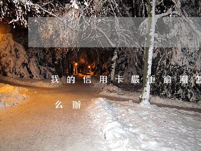 我的信用卡嚴重逾期怎么辦(信用用卡逾期怎么辦)