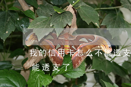 我的信用卡怎么不能透支了(為什么信用卡不能透支了)