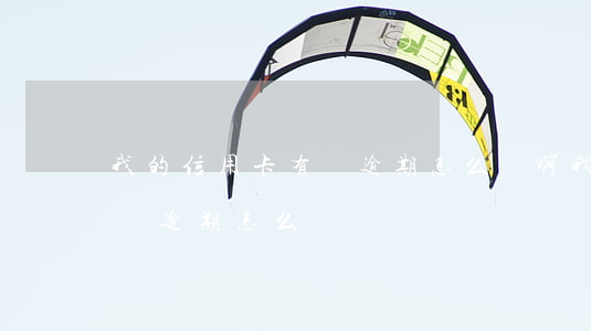 我的信用卡有過逾期怎么辦?。ㄎ业男庞每ㄓ羞^逾期怎么辦）