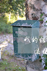 我的信用卡沒用過它說我逾期(我信用卡逾期無法使用了怎么辦)
