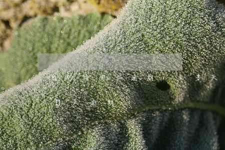 我的信用卡逾期10多天怎么辦(信用卡10幾天逾期)