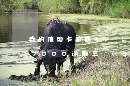 我的信用卡逾期37個(gè)月(信用卡17000逾期三個(gè)月會怎么樣)