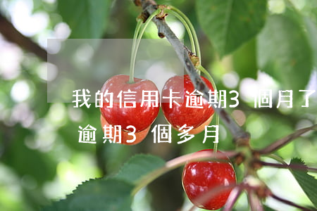 我的信用卡逾期3個月了(信用卡3000塊逾期3個多月)