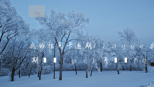 我的信用卡逾期liayue 我的信用卡逾期兩個(gè)月還請(qǐng)了居然還能繼續(xù)用