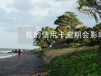 我的信用卡逾期会影响妻子车贷吗