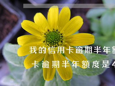 我的信用卡逾期半年額度是4萬-我的信用卡逾期半年額度是4萬怎么辦