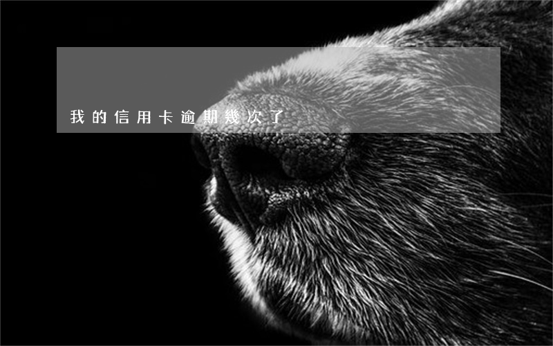 我的信用卡逾期幾次了