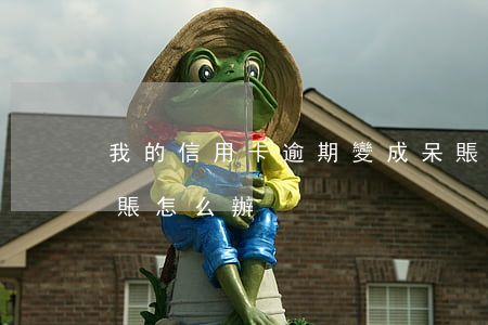 我的信用卡逾期變成呆賬(信用卡逾期變成呆賬怎么辦)