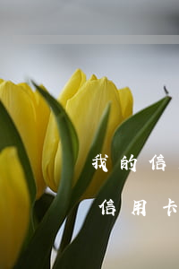 我的信用卡還款逾期一個星期了怎么辦（我的信用卡還款逾期一個星期）