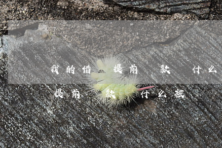 我的借唄提前還款為什么被關閉-我的借唄提前還款為什么被關閉了