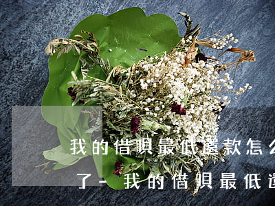 我的借唄最低還款怎么給我關(guān)了-我的借唄最低還款怎么給我關(guān)了呢
