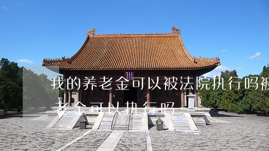 我的养老金可以被法院执行吗(被执行人的养老金可以执行吗)