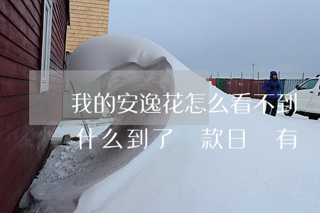 我的安逸花怎么看不到還款日期-安逸花為什么到了還款日沒有顯示還款