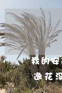 我的安逸花没有逾期为什么借不了-我的安逸花没有逾期为什么借不了钱了