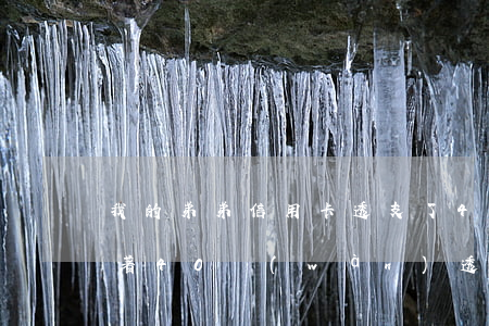 我的弟弟信用卡透支了4萬(wàn)(你拿著40萬(wàn)透支的信用卡)