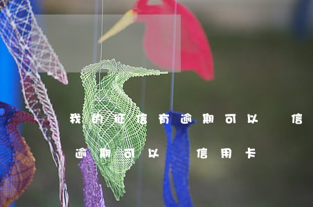 我的征信有逾期可以辦信用卡嗎(我的征信有逾期可以辦信用卡嗎)