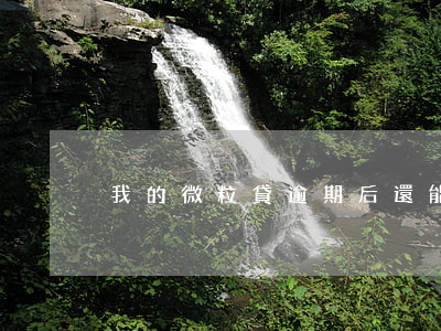 我的微粒貸逾期后還能借款