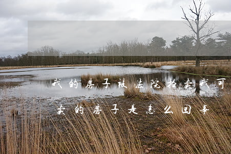 我的房子被法院拍卖我可以竞买吗(被法院拍卖的房子是怎么回事)