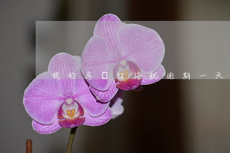 我的房貸征信就逾期一天(房貸逾期一天 征信)