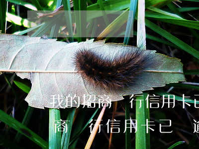 我的招商銀行信用卡已經逾期半年-我的招商銀行信用卡已經逾期半年了怎么辦