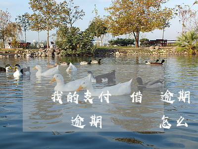 我的支付寶借唄逾期幾塊錢-我的支付寶借唄逾期幾塊錢怎么辦