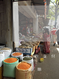 我的支付寶逾期用我媽媽的注冊(支付寶申請逾期)