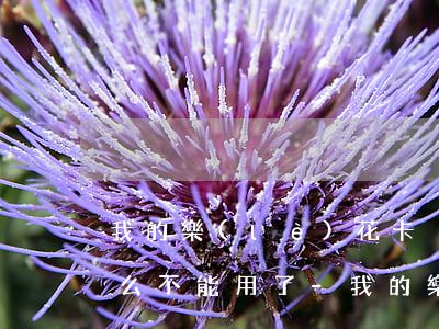 我的樂(lè)花卡沒(méi)有逾期怎么不能用了-我的樂(lè)花卡沒(méi)有逾期怎么不能用了呢