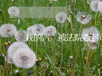 我的汽車被法院查封可以年檢嗎