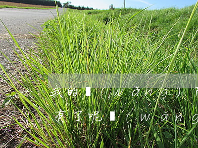 我的網(wǎng)商貸怎么沒(méi)有了呢(網(wǎng)商貸突然沒(méi)有)
