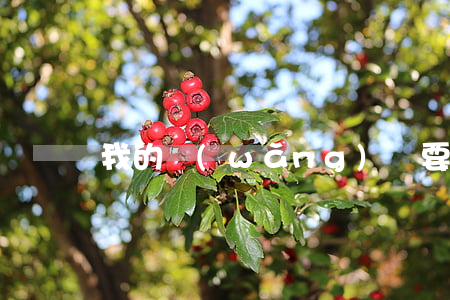 我的網(wǎng)貸要逾期了怎么辦