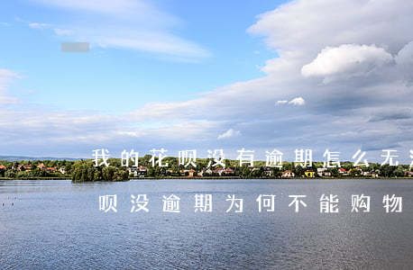 我的花呗没有逾期怎么无法使用花呗购物?（花呗没逾期为何不能购物）