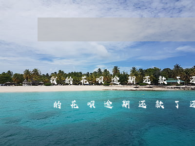 我的花呗逾期还款了还是冻结了怎么办-我的花呗逾期还款了还是冻结了怎么办呢