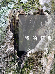 我的花唄3年前逾期過會(huì)上征信么-我的花唄3年前逾期過會(huì)上征信么嗎