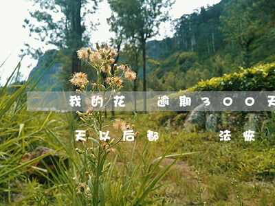 我的花唄逾期300天了(花唄逾期超過30天,以后都沒辦法恢復(fù)了嗎)
