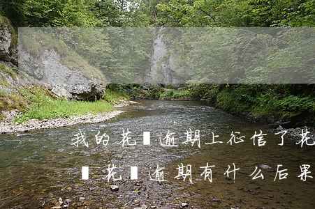 我的花唄逾期上征信了(花唄逾期五天上征信嗎?花唄逾期有什么后果)