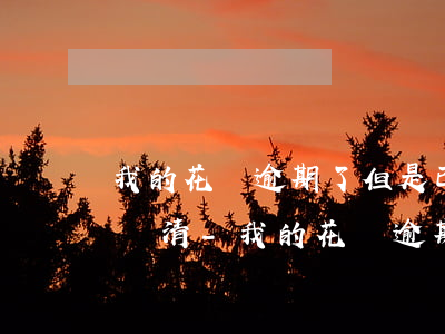 我的花唄逾期了但是已經(jīng)全款還清-我的花唄逾期了但是已經(jīng)全款還清了怎么辦