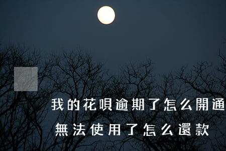 我的花唄逾期了怎么開通(花唄顯示逾期,花唄無法使用了,怎么還款)