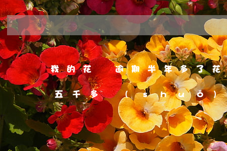 我的花唄逾期半年多了(花唄逾期兩年多,欠了五千多說(shuō)要立案)