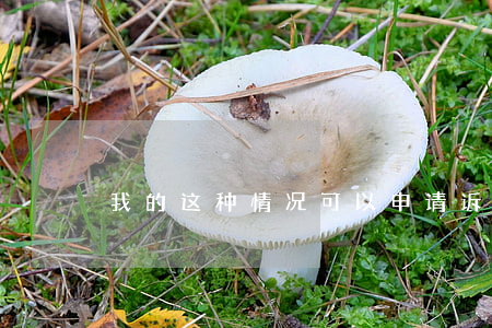 我的这种情况可以申请诉讼吗