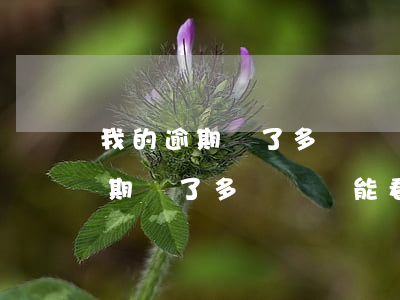 我的逾期還了多長時間能看到還清-我的逾期還了多長時間能看到還清記錄