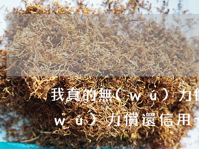 我真的無(wú)力償還信用卡(我真的無(wú)力償還信用卡英文)