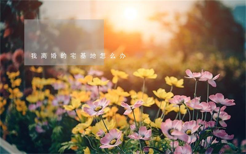 我离婚的宅基地怎么办