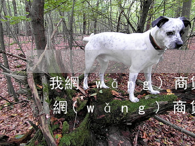 我網(wǎng)商貸逾期說要走法律程序 網(wǎng)商貸逾期法務(wù)部來電說起訴上門了解