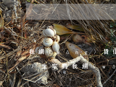 我網(wǎng)貸信用卡逾期會(huì)坐牢嗎(我網(wǎng)貸信用卡逾期會(huì)坐牢嗎)